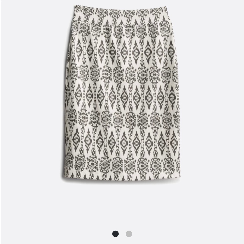 NWT skirt
